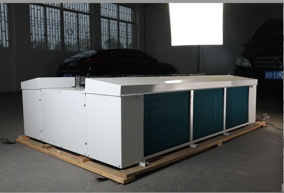 Double-Side Blowing Air Cooler high quality Cooling Room Evaporator For Cooling Units